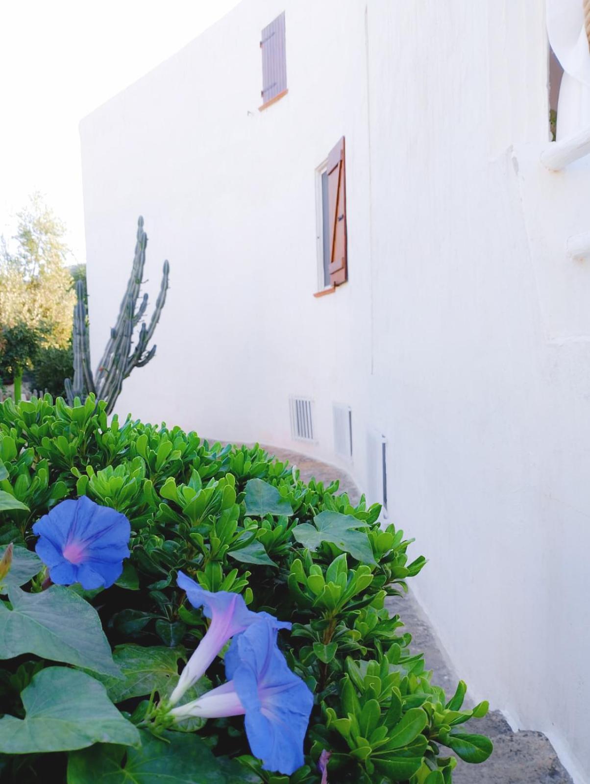 Villa Anna 300 M Dal Mare Torre delle Stelle Eksteriør billede