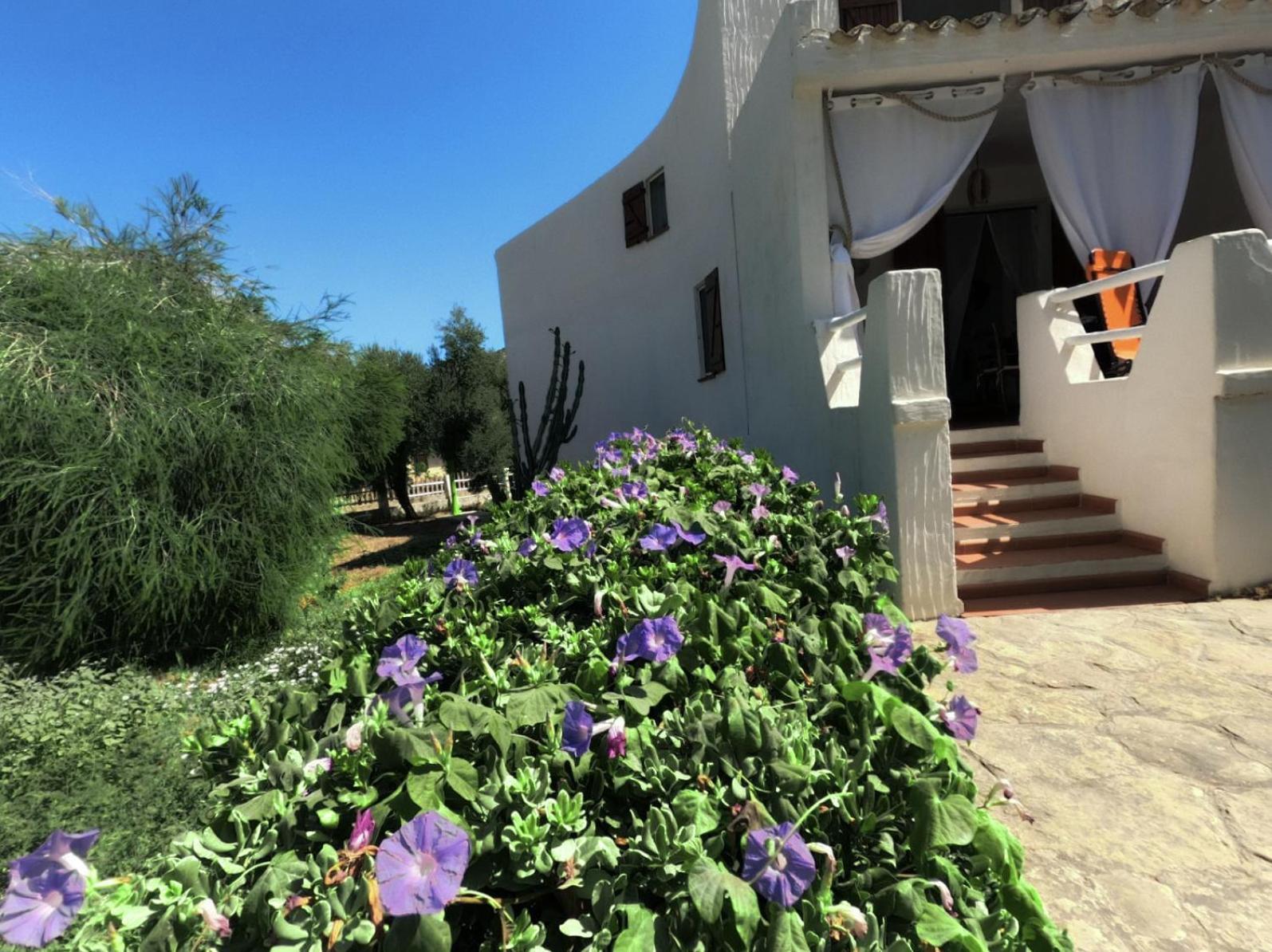 Villa Anna 300 M Dal Mare Torre delle Stelle Eksteriør billede